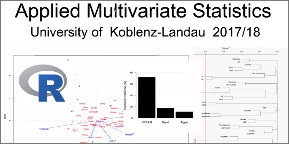 Using R/exams for Short Exams during a Statistics Course